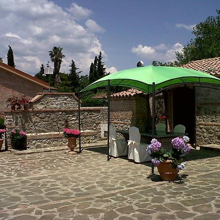 Societa Agricola Mg Florplant Villa Francavilla Marittima Exteriör bild
