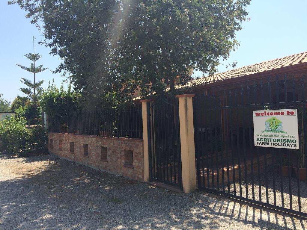 Societa Agricola Mg Florplant Villa Francavilla Marittima Exteriör bild