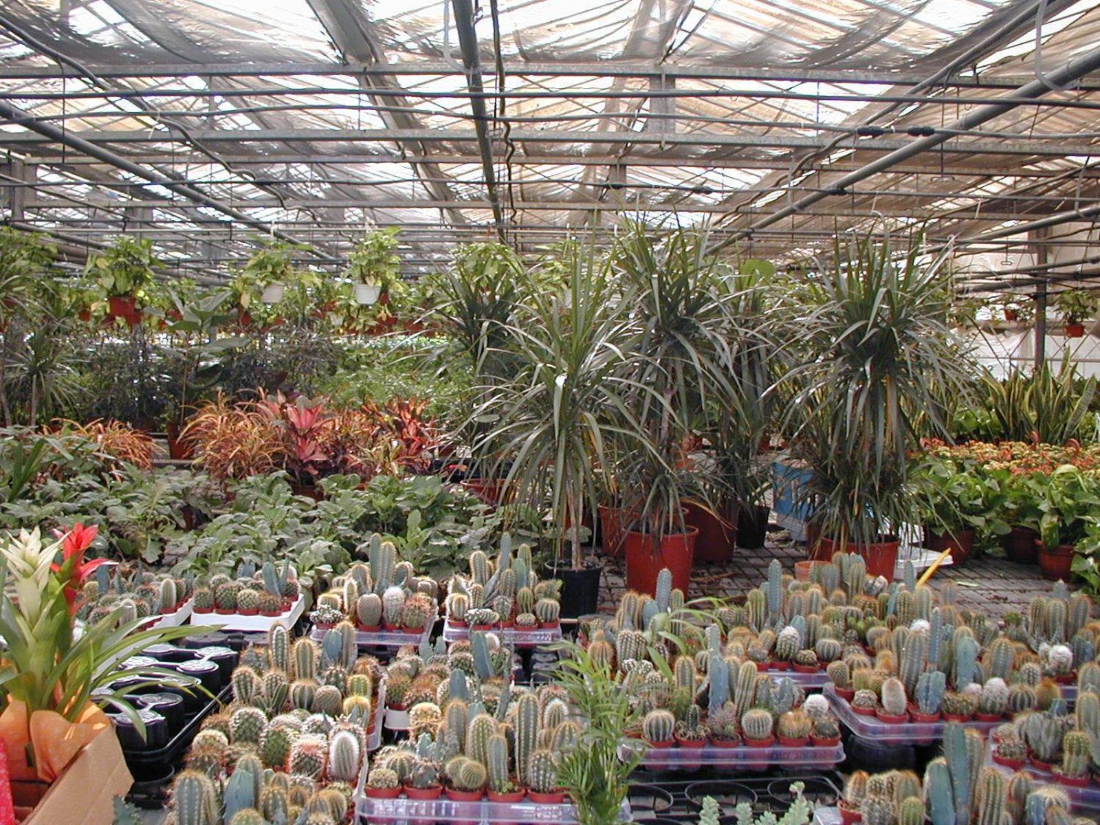 Societa Agricola Mg Florplant Villa Francavilla Marittima Exteriör bild